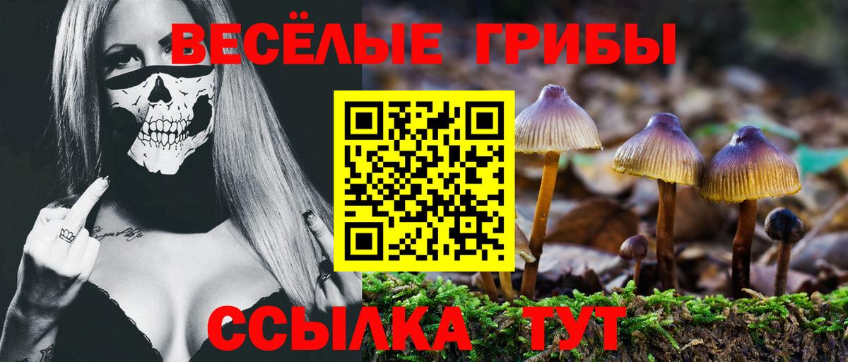 Аксай  Галлюциногенные грибы мицелий  Вход с VPN 
