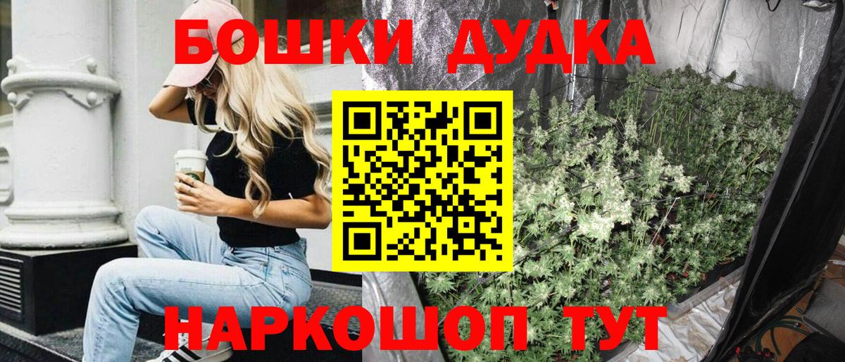 Бошки Шишки сатива Аксай